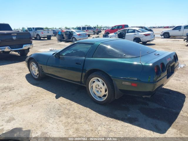 1994 CHEVROLET CORVETTE 1G1YY22P3R5113256 Photo 2
