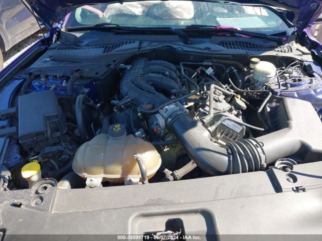 1FA6P8AM1G5266135 Ford Mustang V6