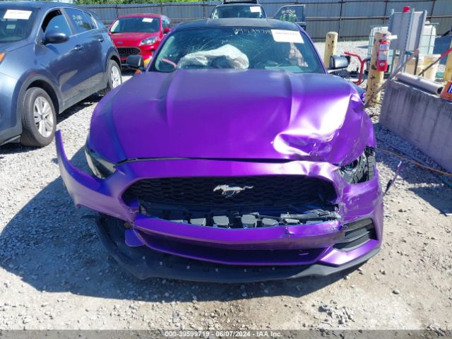 1FA6P8AM1G5266135 Ford Mustang V6
