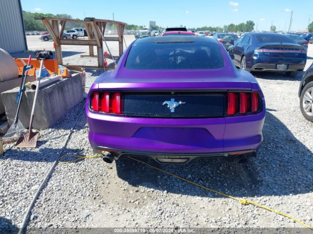 1FA6P8AM1G5266135 Ford Mustang V6