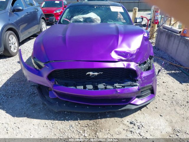 1FA6P8AM1G5266135 Ford Mustang V6