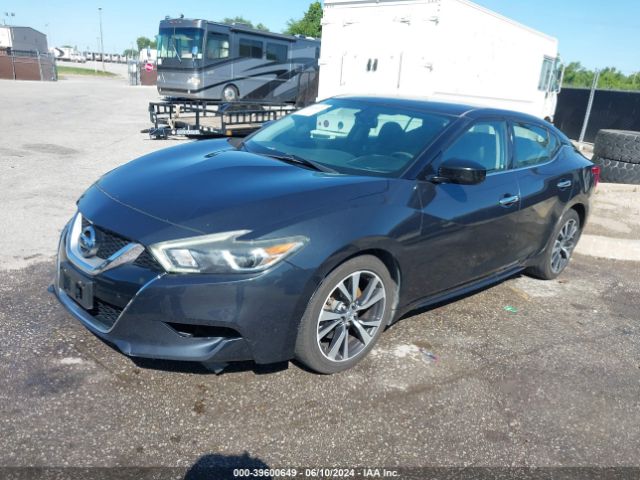 1N4AA6AP6GC436186 Nissan Maxima 3.5 Platinum/3.5 S/3.5 Sl/3.5 Sr/3.5 Sv