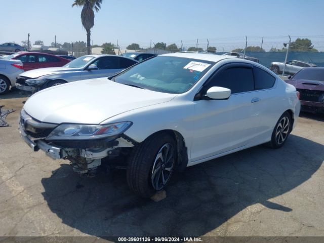 1HGCT1B37GA008765 Honda Accord Lx-s