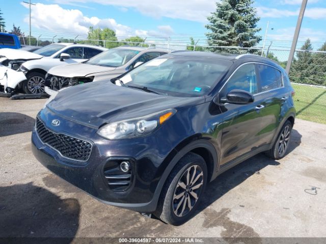KNDPNCAC7H7054991 KIA Sportage Ex