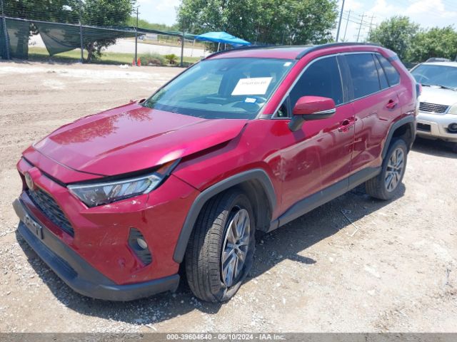 2T3C1RFV1KC027225 Toyota Rav4 Xle Premium