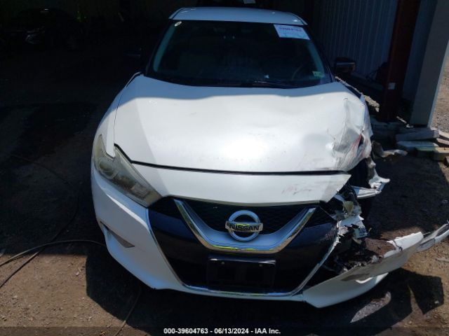 1N4AA6AP3GC903838 Nissan Maxima 3.5 S