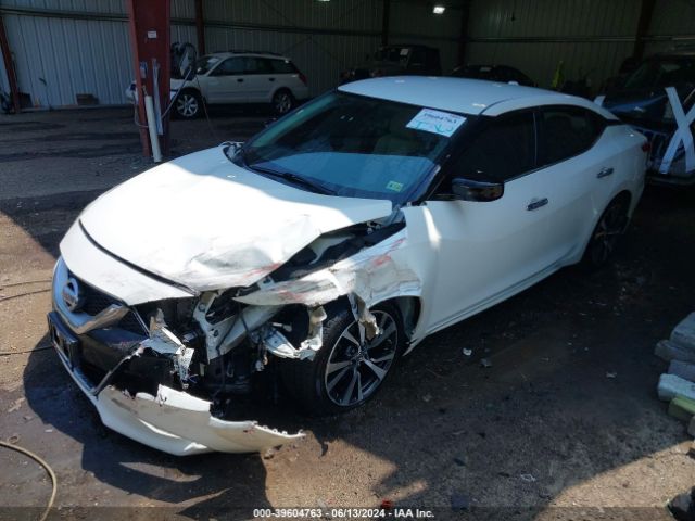 1N4AA6AP3GC903838 Nissan Maxima 3.5 S