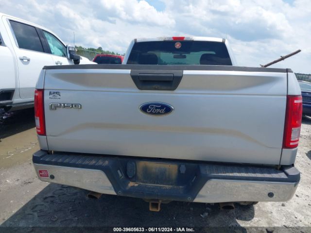 1FTMF1EF6HFB62744 Ford F-150 Xlt