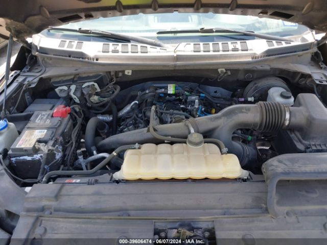1FTEW1CP8KKC30699 Ford F-150 Xl