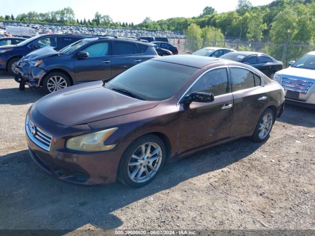 1N4AA5AP4EC465855 Nissan Maxima 3.5 S/3.5 Sv