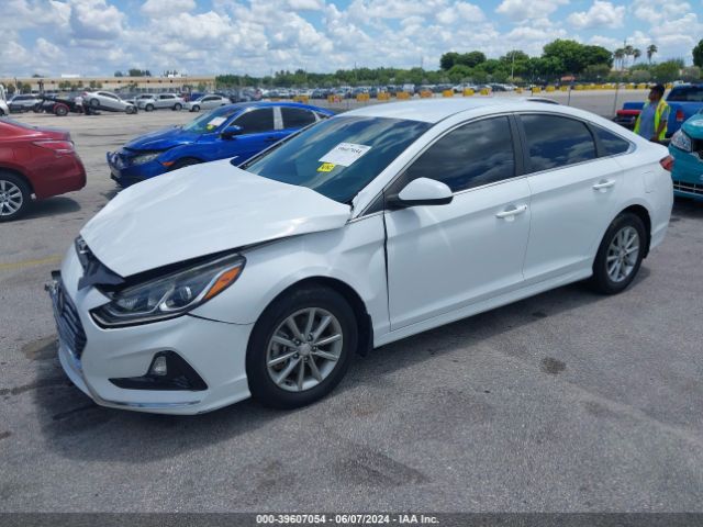 5NPE24AF2KH737894 Hyundai SONATA SE