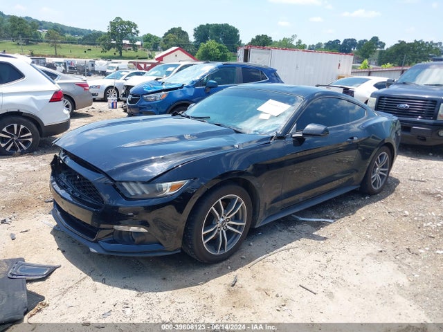 Ford Mustang Ecoboost 2016 1FA6P8TH4G5251192 Image 2
