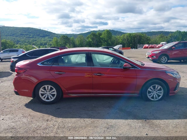 Hyundai Sonata Sport 2019 5NPE34AF4KH734833 Image 13
