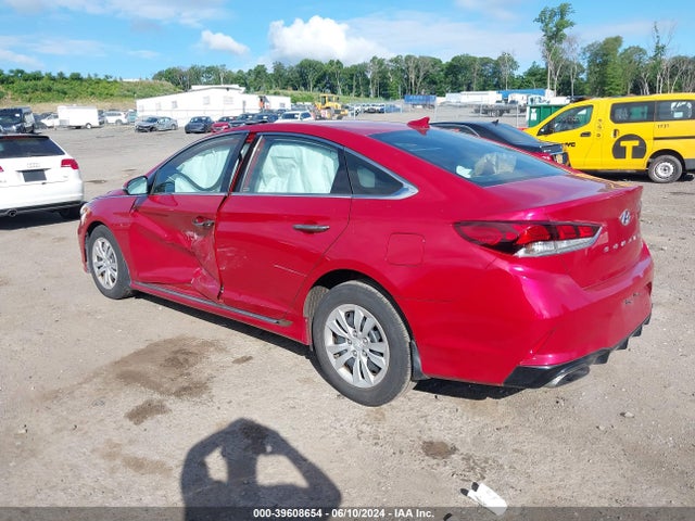 Hyundai Sonata Sport 2019 5NPE34AF4KH734833 Image 3