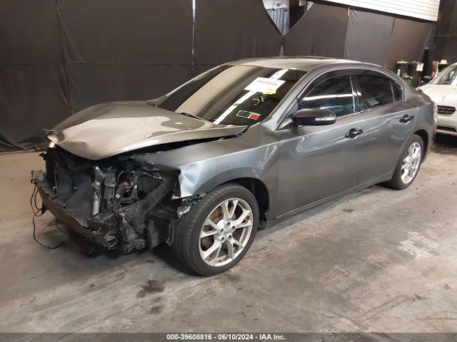 1N4AA5AP8EC484859 Nissan Maxima 3.5 S/3.5 Sv