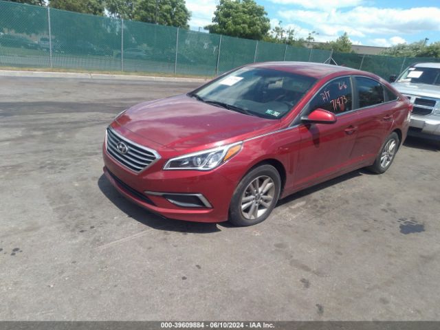 5NPE24AF8GH339967 Hyundai SONATA SE