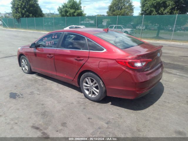 5NPE24AF8GH339967 Hyundai SONATA SE