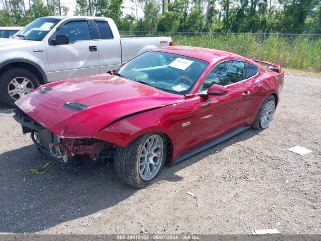 Ford MUSTANG GT 2019 1FA6P8CFXK5105693 Image 2