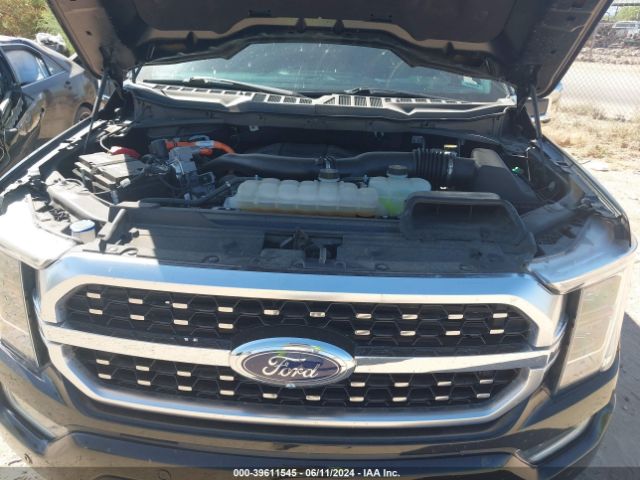 1FTFW1ED2MFD07330 Ford F-150 Platinum