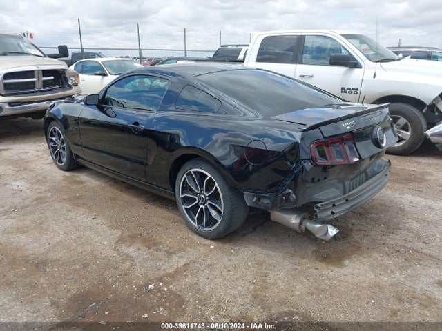 Ford Mustang Gt Premium 2014 1ZVBP8CF3E5316454 Image 3