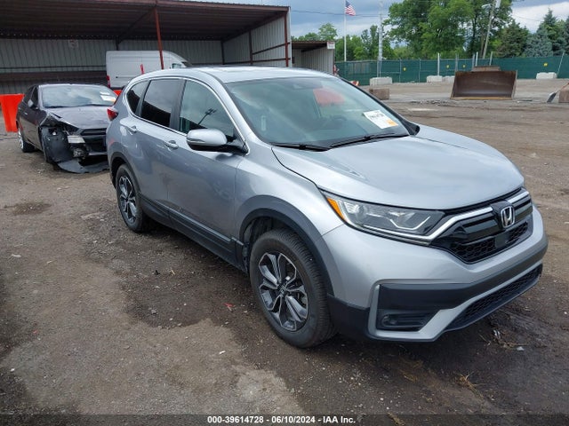 2020 5J6RW2H52LL033287 main image
