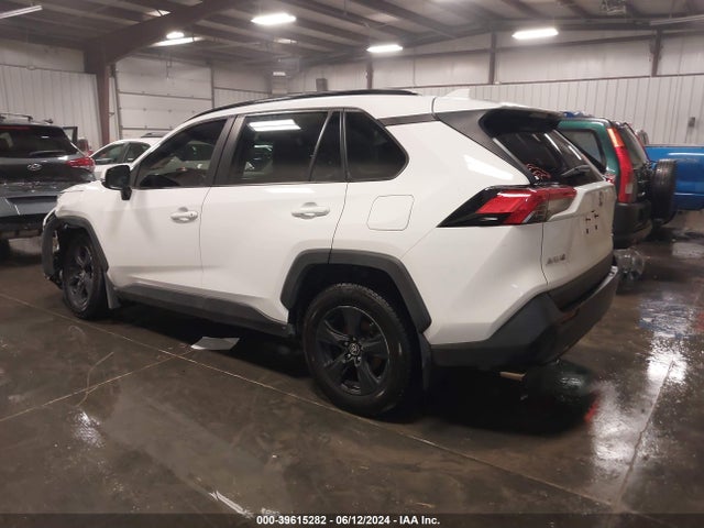 Toyota Rav4 Xle 2019 JTMP1RFV8KD510725 Image 3