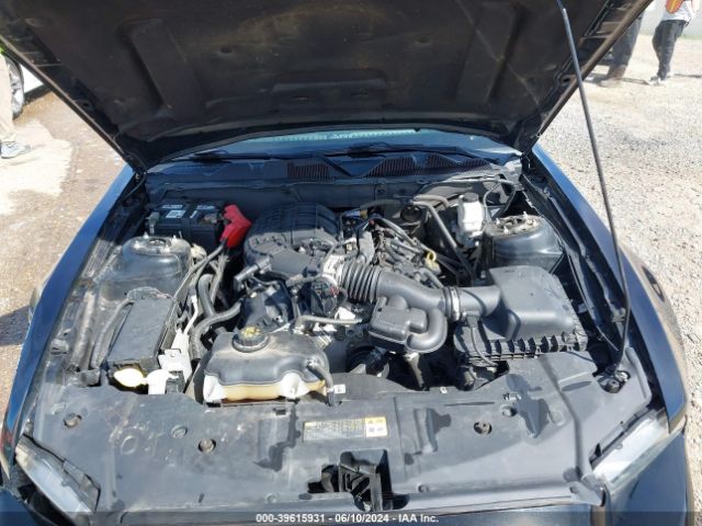 2013 FORD MUSTANG 1ZVBP8AM5D5281058 Photo 9