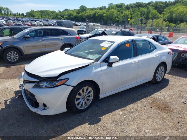 Toyota CAMRY LE 2019 4T1B11HKXKU773776 Image 2