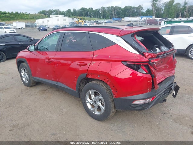 Hyundai TUCSON SEL 2023 5NMJBCAEXPH277243 Image 3