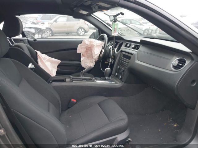1ZVBP8EM1E5292201 Ford Mustang V6