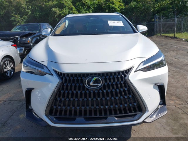 JTJGDCAZXR5017824 Lexus Nx 250 Premium