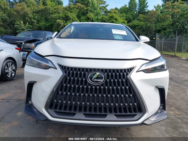 JTJGDCAZXR5017824 Lexus Nx 250 Premium