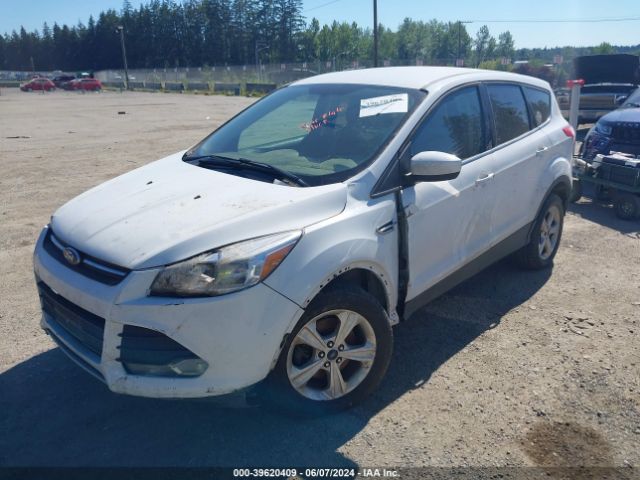 1FMCU9GX5EUB65871 Ford ESCAPE SE