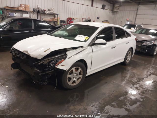 5NPE34AFXJH614615 Hyundai SONATA SEL
