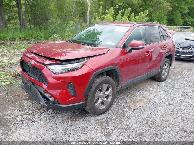 Toyota Rav4 Xle 2024 2T3P1RFVXRW454798 Image 2