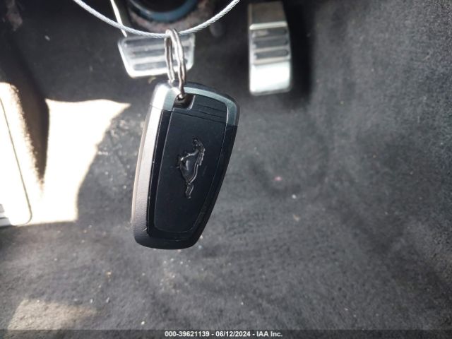 1FA6P8CF3J5154359 Ford Mustang Gt Premium