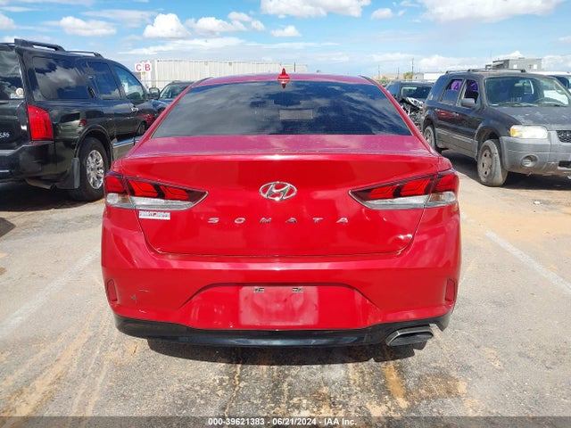 Hyundai SONATA SEL 2019 5NPE34AF0KH763732 Image 16