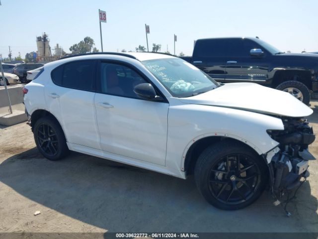 ZASPAJAN5M7D17739 Alfa Romeo Stelvio Rwd