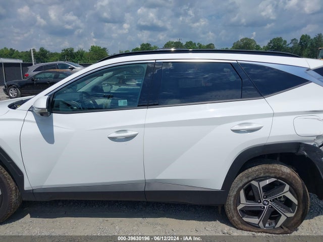 Hyundai Tucson Limited 2024 5NMJECDE6RH354759 Image 14