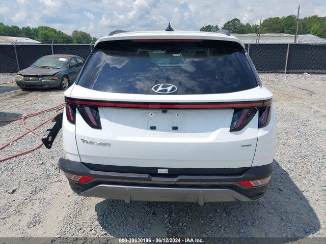 Hyundai Tucson Limited 2024 5NMJECDE6RH354759 Image 16