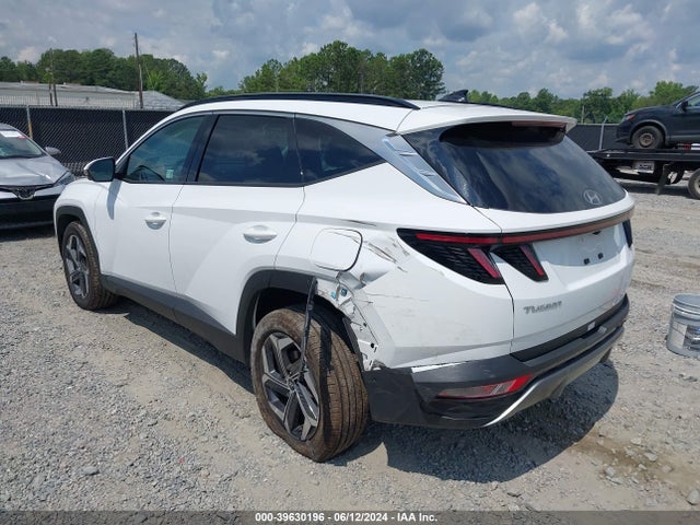 Hyundai Tucson Limited 2024 5NMJECDE6RH354759 Image 3