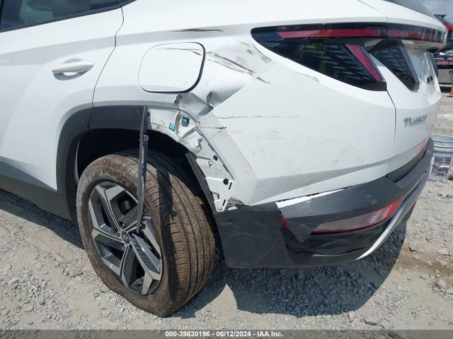 Hyundai Tucson Limited 2024 5NMJECDE6RH354759 Image 6