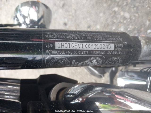 1999 HARLEY-DAVIDSON FXDWG 1HD1GEV1XXY310245 Photo 9