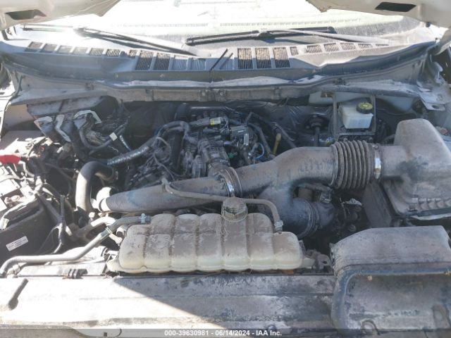 1FTEW1EP4MKE34156 Ford F-150 Xlt