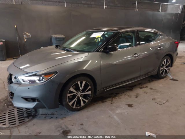 1N4AA6AP6JC384078 Nissan Maxima 3.5 Sl
