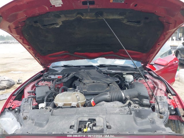 Ford Mustang Ecoboost Fastback 2020 1FA6P8TH9L5103775 Image 10