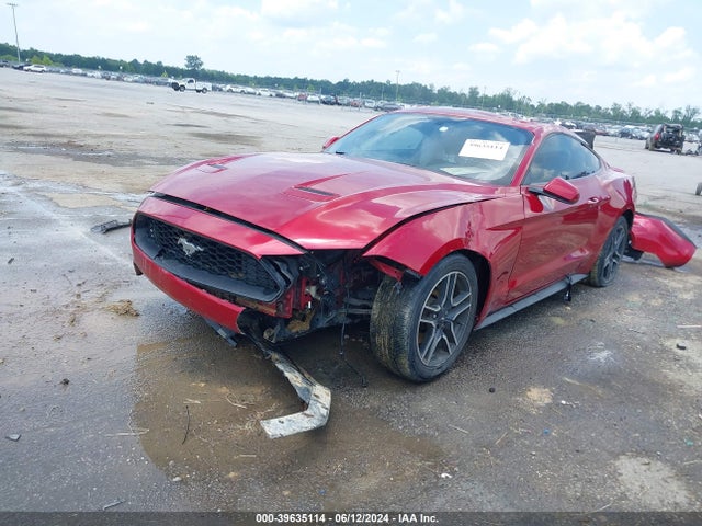 Ford Mustang Ecoboost Fastback 2020 1FA6P8TH9L5103775 Image 2