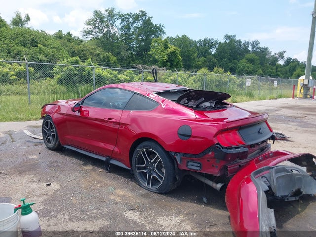 Ford Mustang Ecoboost Fastback 2020 1FA6P8TH9L5103775 Image 3