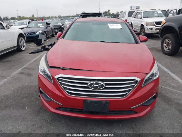 5NPE24AF7HH496441 Hyundai Sonata