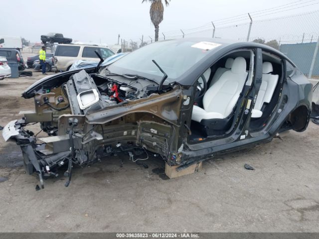 7SAYGDED1RF033785 Tesla Model Y Rwd